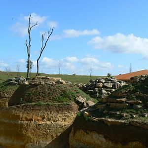 New carnivores crater - New african lions exhibit