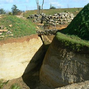 New carnivores crater - new african lion exhibit