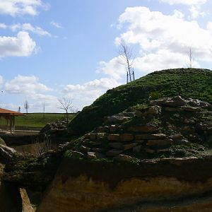 New carnivores crater - new african lion exhibit