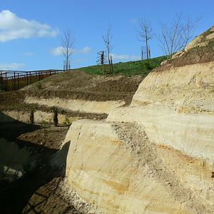 New carnivores crater - New african lions exhibit