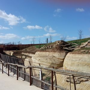 New carnivores crater - New african lions exhibit