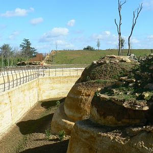 New carnivores crater - New african lions exhibit and new cheetahs exhibit behind