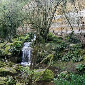 Leopards canyon - Sri Lankan leopards enclosure