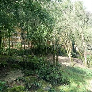 Leopards canyon - Sri Lankan leopards enclosure
