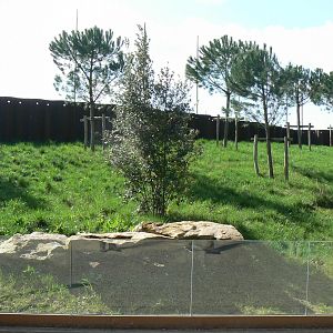 European ground squirrels enclosure