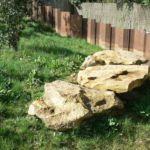 European ground squirrels enclosure
