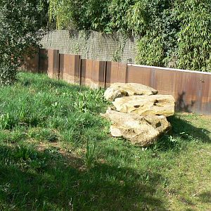 European ground squirrels enclosure