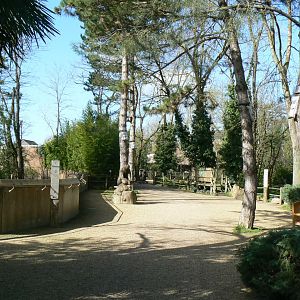 General view - path between spectacled bears enclosure and spider monkeys islands
