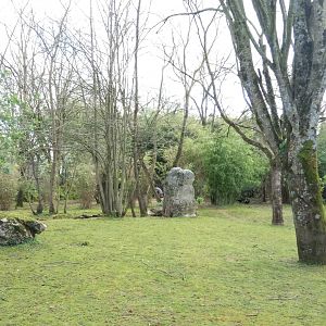 Second pygmy hippos enclosure
