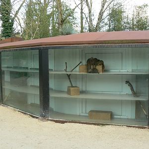 Dwarf mongooses house