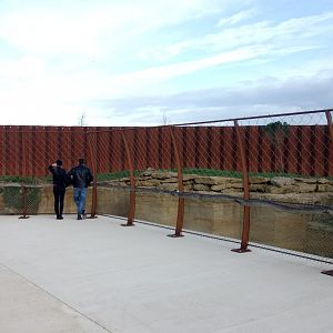 The ghosts of the Himalayas - Snow leopards enclosure viewing plateform