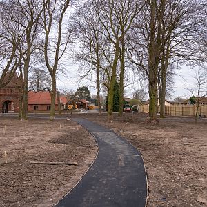 New Picnic Area - 21/03/2020