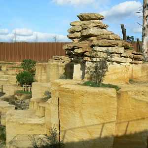 The ghosts of the Himalayas - Snow leopards enclsoure