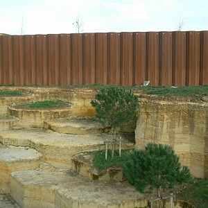 The ghosts of the Himalayas - Snow leopards enclsoure