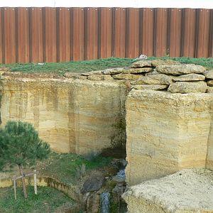 The ghosts of the Himalayas - Snow leopards enclosure