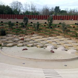 The ghosts of the Himalayas - Vultures amphitheater