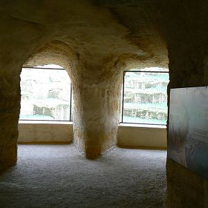The ghosts of the Himalyas - Tajik markhors and himalyan tahrs exhibit viewing point from the tunnel