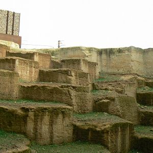 The ghosts of the Himalyas - Tajik markhors and himalyan tahrs exhibit