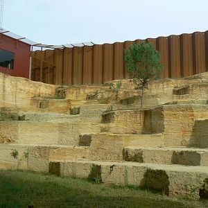 The ghosts of the Himalyas - Snow leopard enclosure