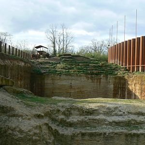 The ghosts of the Himalya - Upper part of the tajik markhors and himalyan tahrs enclosure