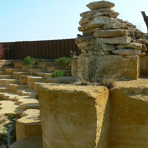 The ghosts of the Himalyas - Snow leopards enclosure