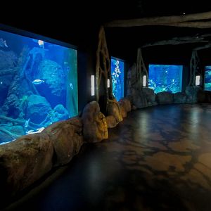Freshwater Tanks