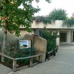Tasmanian devils exhibit