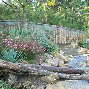 Tasmanian devils exhibit