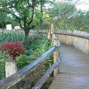 Tasmanian devils exhibit