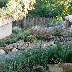 Tasmanian devils exhibit