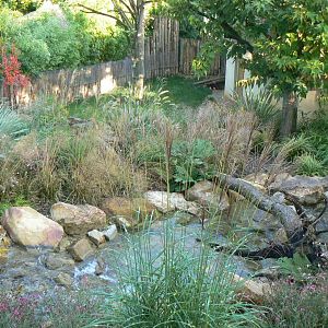 Tasmanian devils exhibit