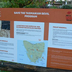 Tasmanian devils exhibit