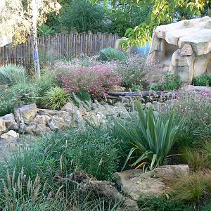 Tasmanian devils exhibit