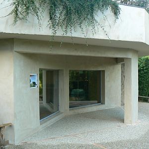 Tasmanian devils exhibit