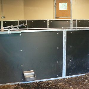 Tasmanian devils exhibit