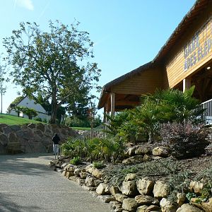 New skyway cable car system