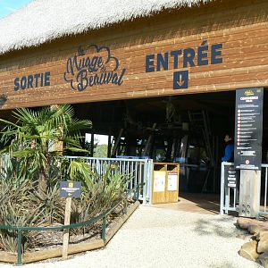 New skyway cable car system