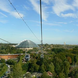 New skyway cable car sytem - View from the cable car (onto the tropical dome and the birds amphitheater)