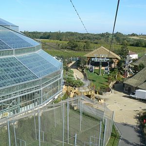 New skywalk cable car system - View on the lion station