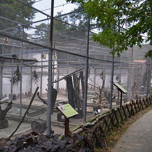 Aviaries for Pheasants, pigeons and chickens