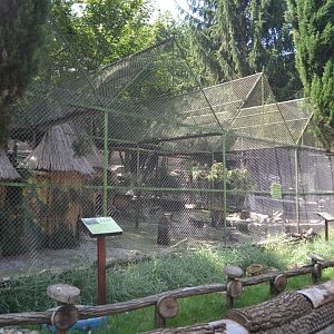 Waterfowl aviary for mandarin ducks, wood ducks and Trachemys turtles