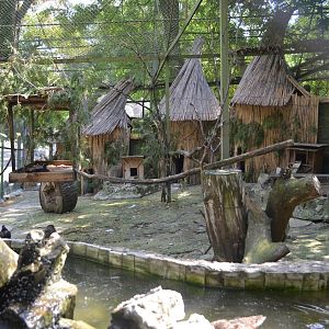 Waterfowl aviary for mandarin ducks, wood ducks and Trachemys turtles