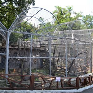 Monkey house for Green monkeys, mona monkeys and Hamadryas baboons