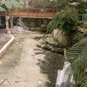 Empty former manatee pool - 2020/12/26