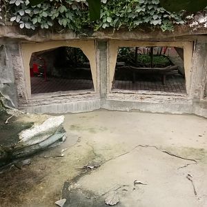 Empty former manatee pool - 2020/12/26