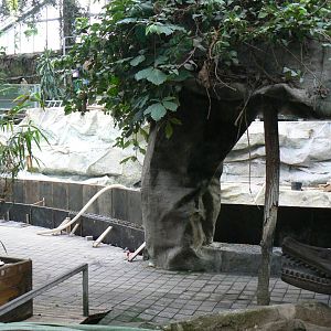 Former manatee pool in refurbishment - 2020/02/09