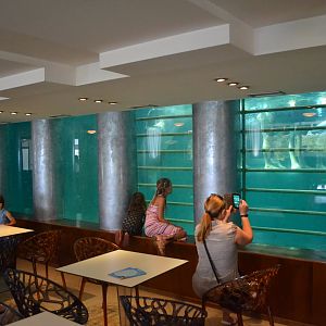 Underwater view / café