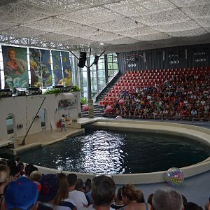 Stadium for dolphin shows