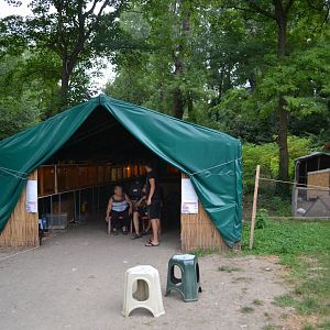 Varna terrarium "building"