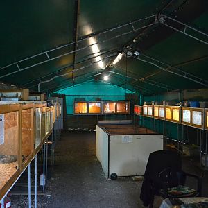 Overview of the terrarium